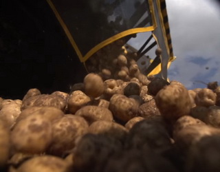 В Україні зібрали 22,5 млн тонн картоплі
